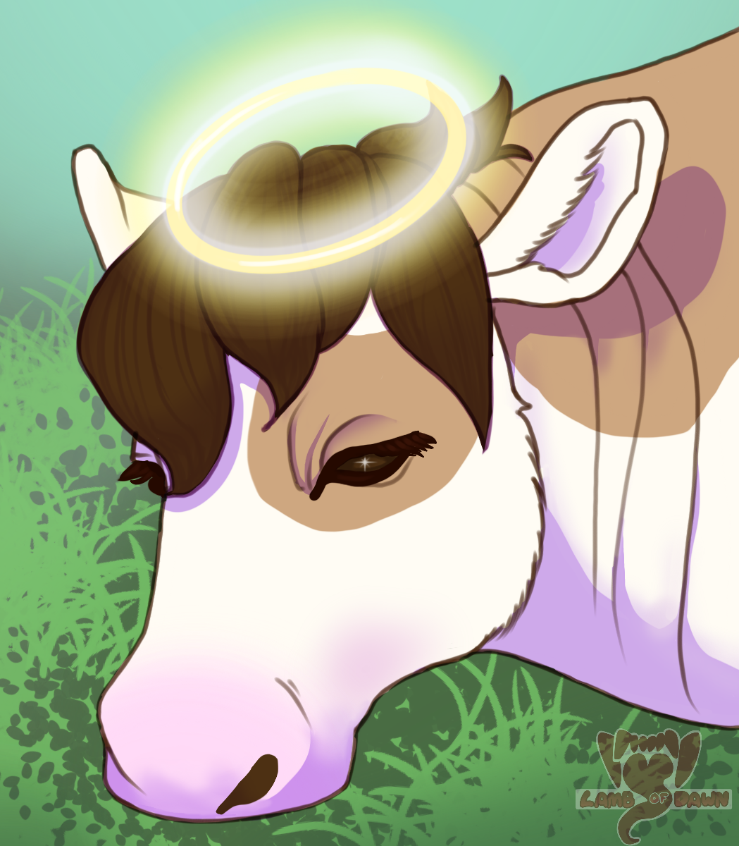 A cow with a halo