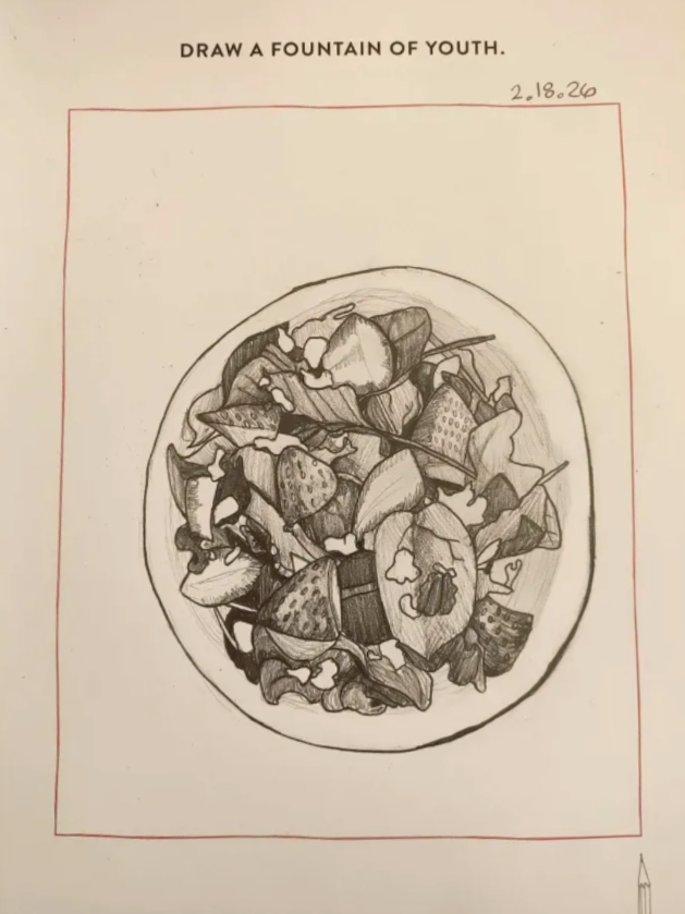 Pencil drawing of a salad